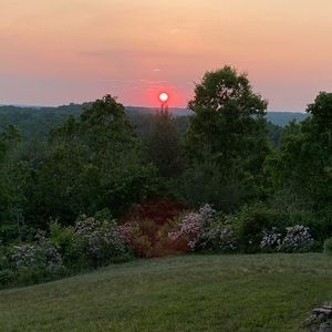 Meet your Posher, Marcy